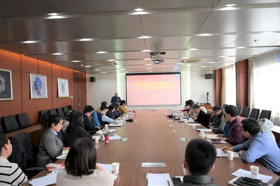 生物物理所组织召开2025年度党建述职评议会